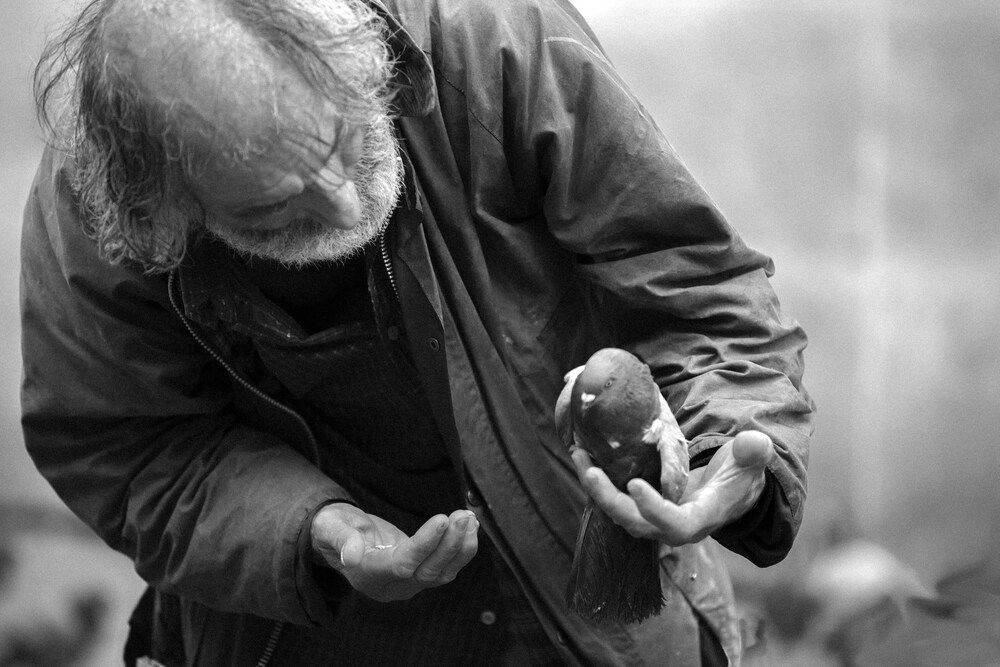 Giuseppe, homeless person who decided to devote her life to help care for the pigeons