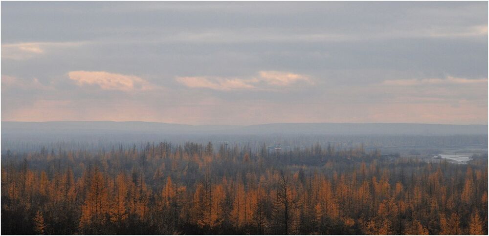 Ушла былая красота