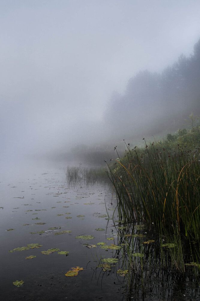 Утреннее