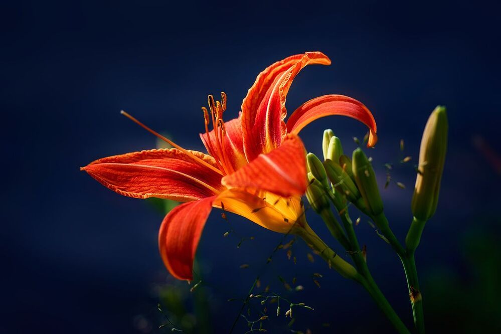 06