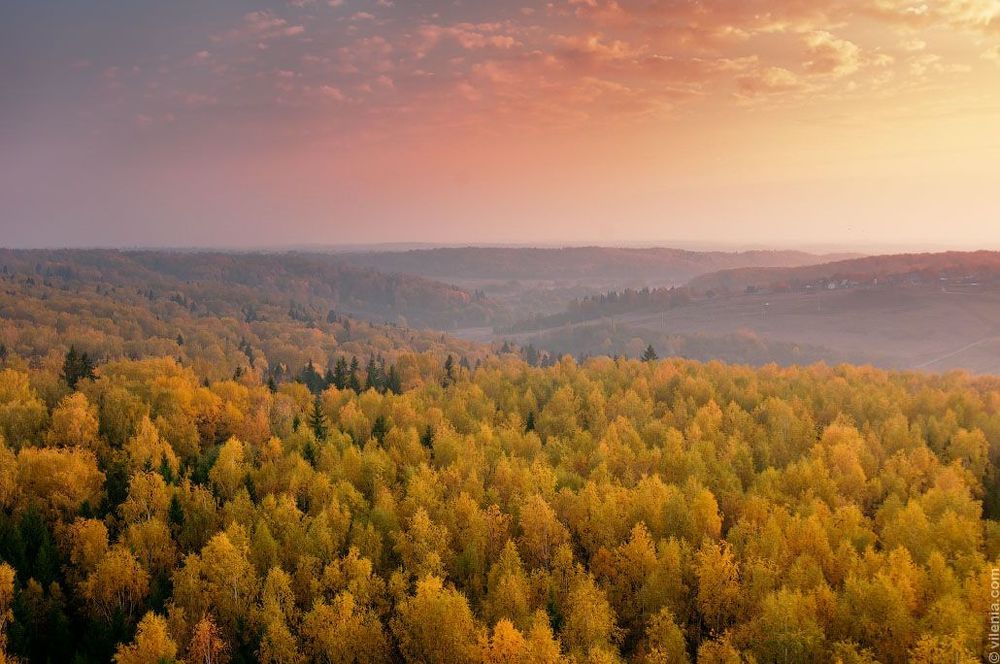 Осенний лес