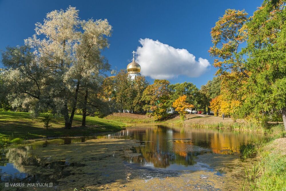 В Александровском парке ...