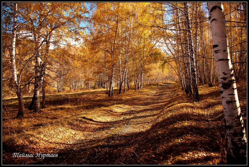 Осень в горах Тянь шань.