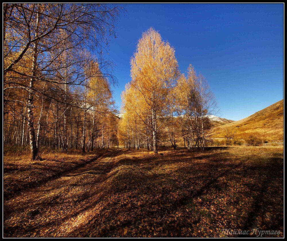 Осень в горах Тянь шань.