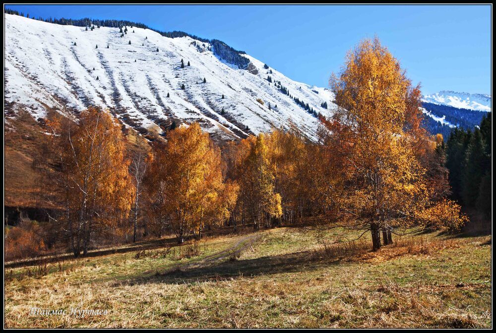 Осень в горах Тянь шань.
