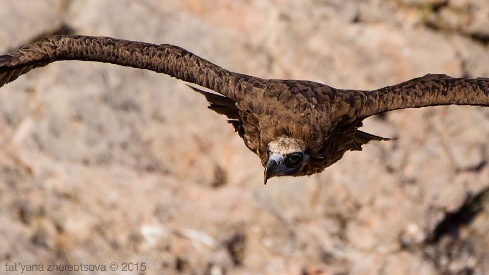 I Can Fly