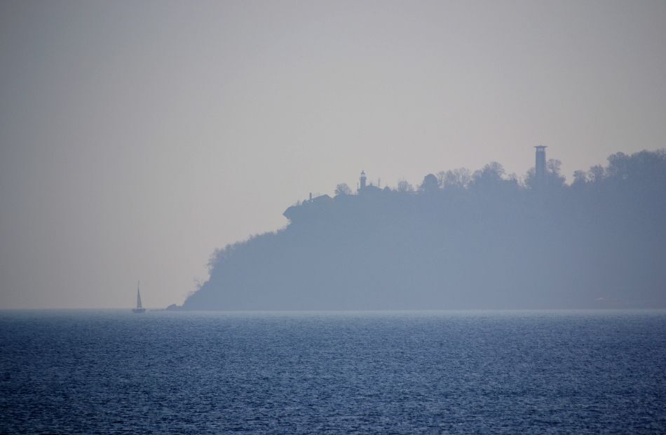 Fog