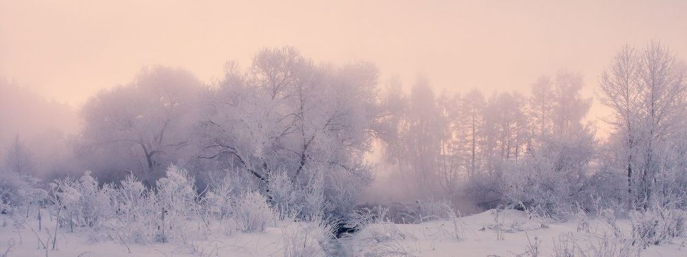 Утро следующего дня