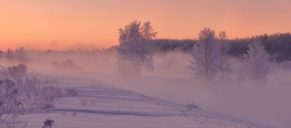Утро следующего дня