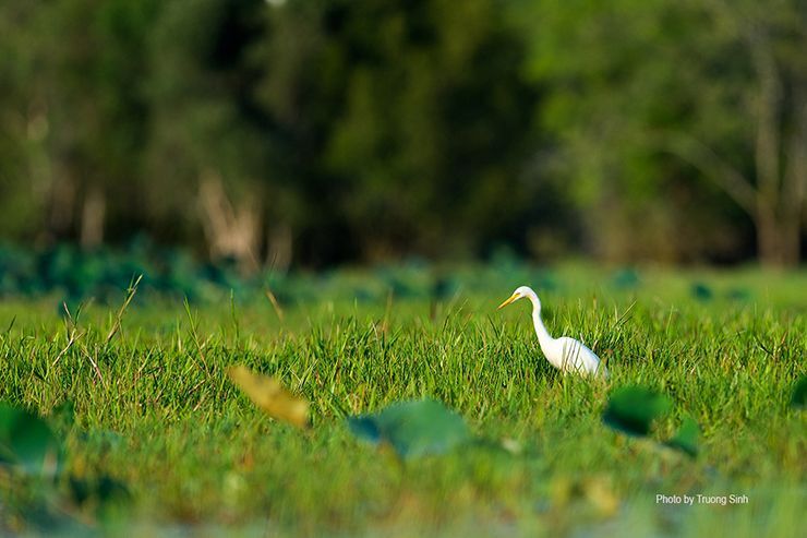 Photo 755775