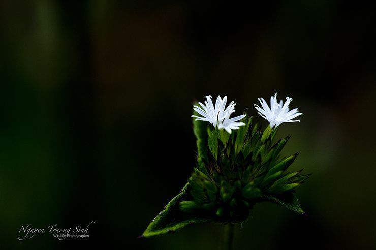 Photo 755781
