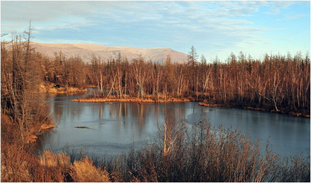 Пейзаж с домами