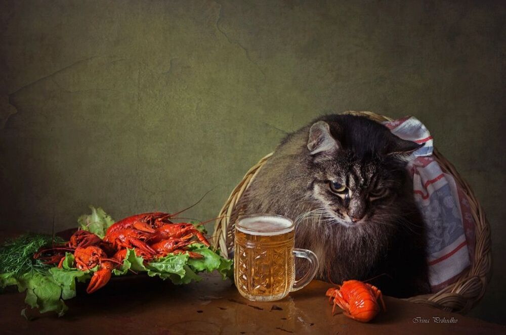 - Я что, непонятно объяснил? Это МОЕ пиво!!!