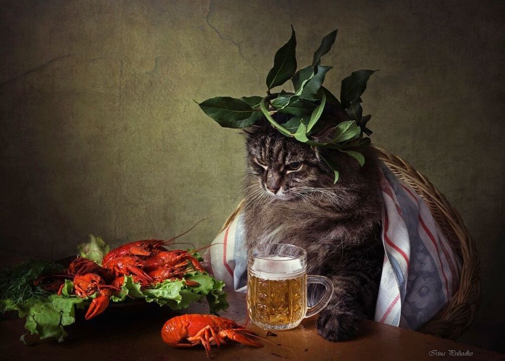 - Я здесь хозяин, и пиво - мое!