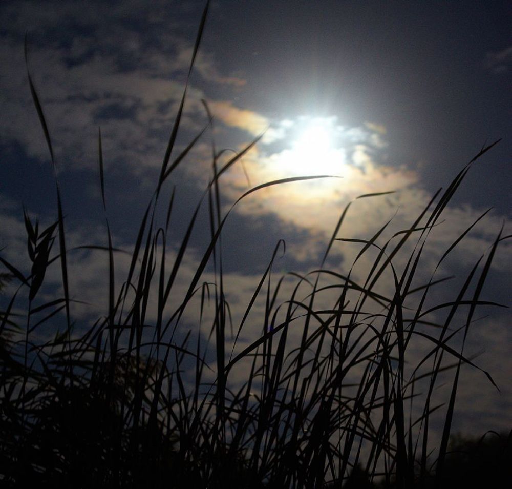 Photo 757090