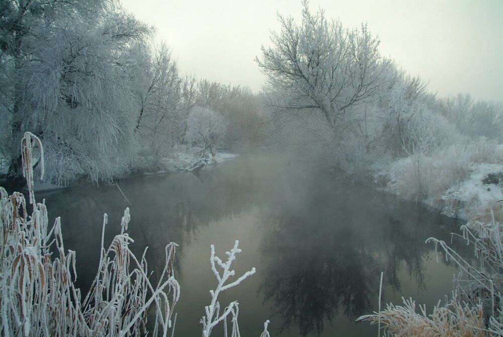 Photo 758481