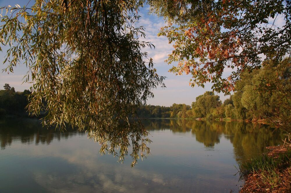 Мгновения осени