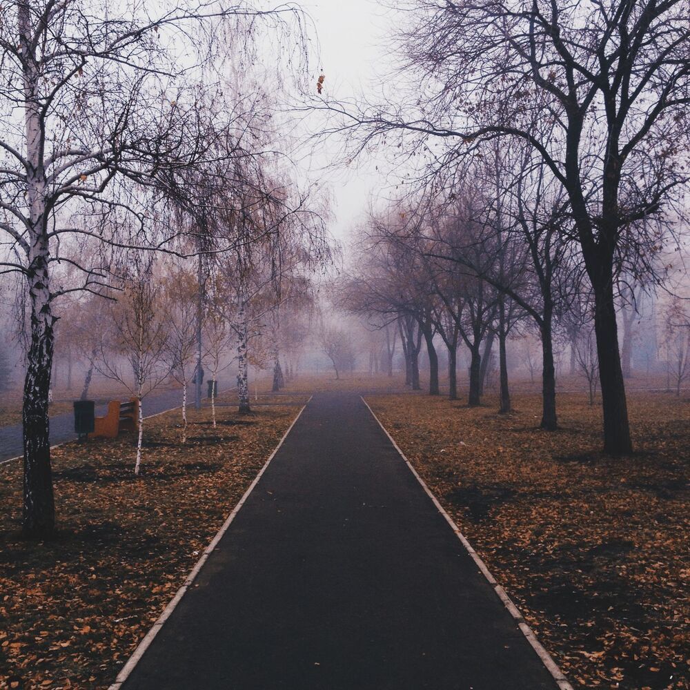 Мобильная фотография  ч.2
