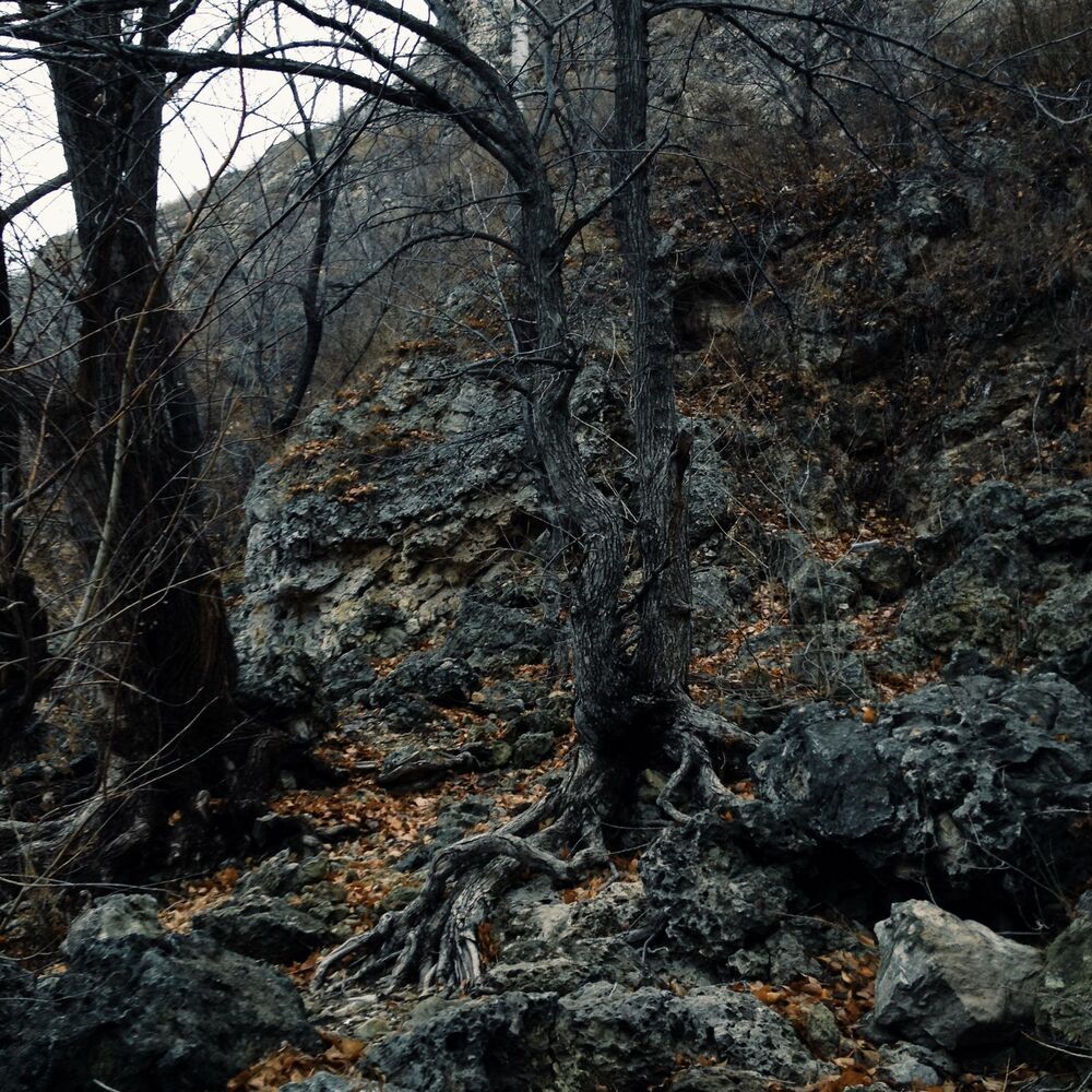 Мобильная фотография  ч.3