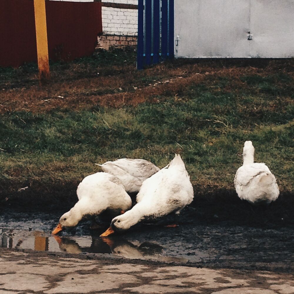 Мобильная фотография  ч.3