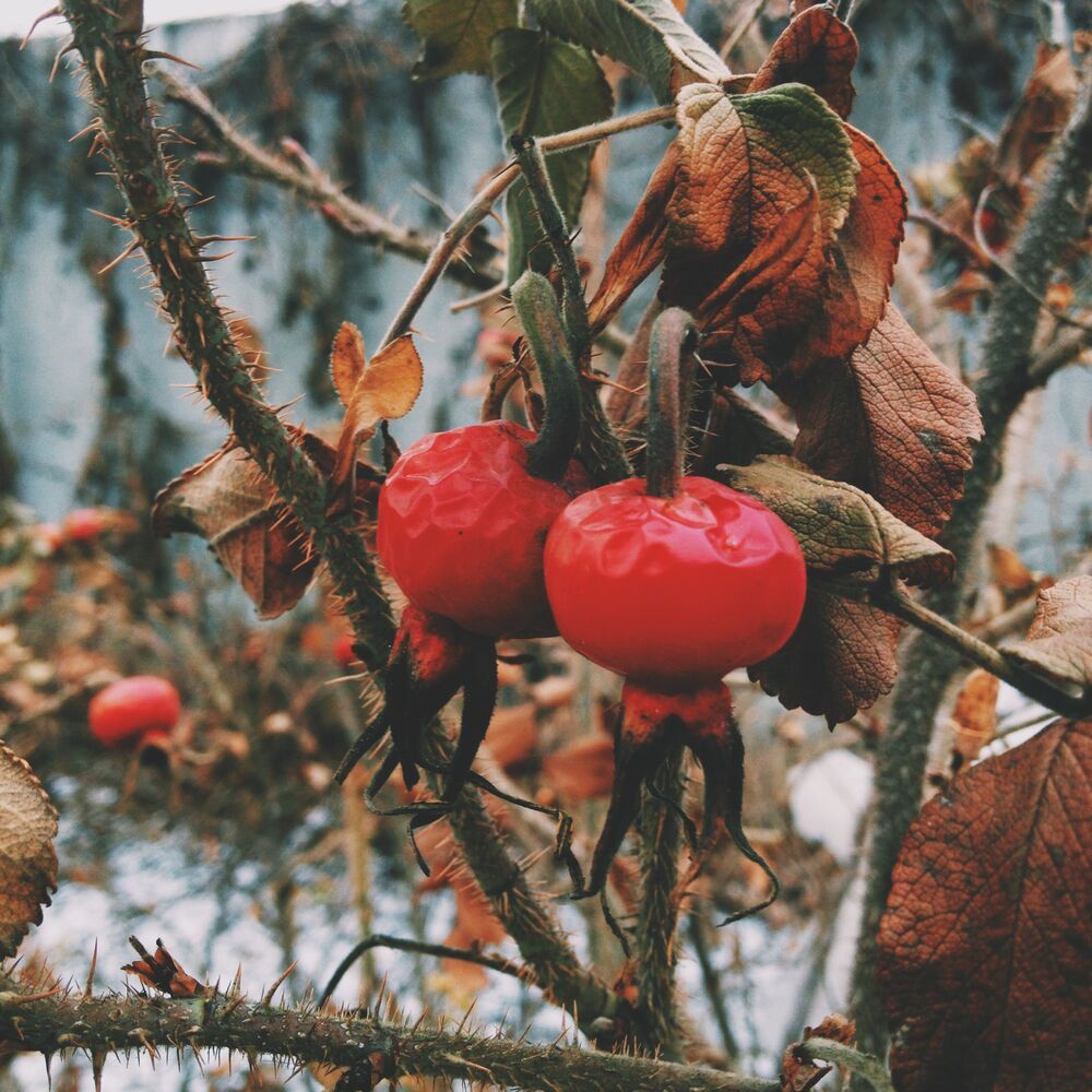 Мобильная фотография  ч.6