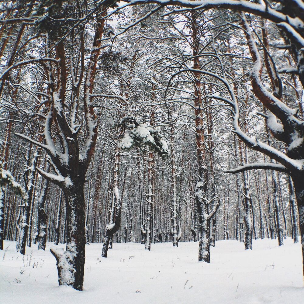 Мобильная фотография  ч.9
