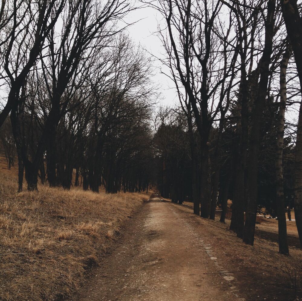 Мобильная фотография  ч.10