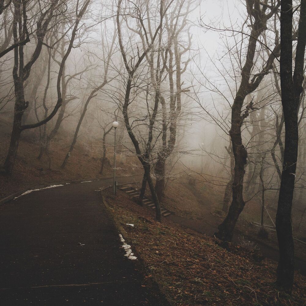 Мобильная фотография  ч.12