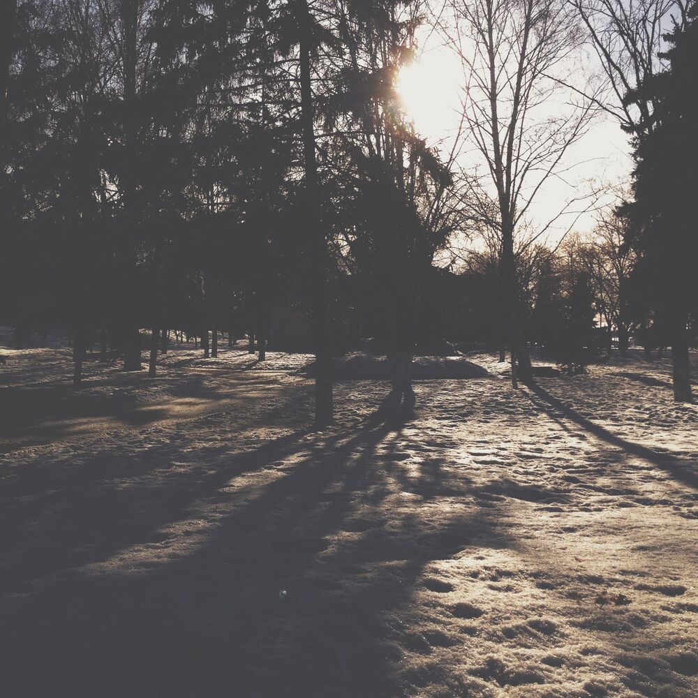 Мобильная фотография  ч.13