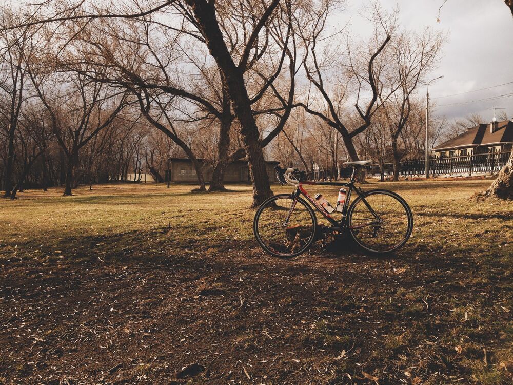 Мобильная фотография  ч.17