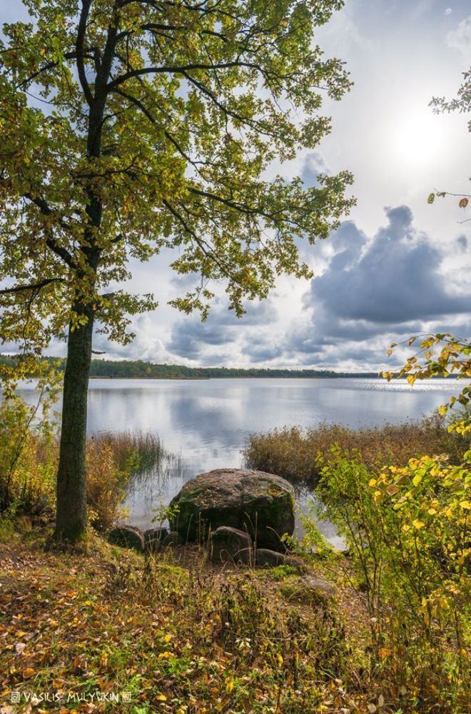 оз. Орлинское, Санкт-Петербургская губерния