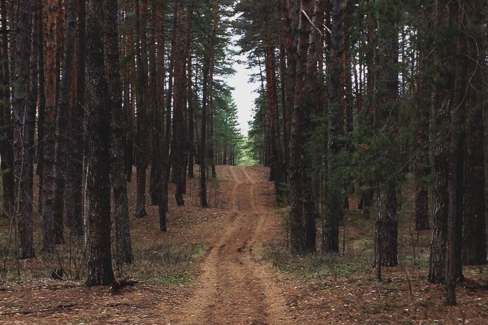 Мобильная фотография  ч.18