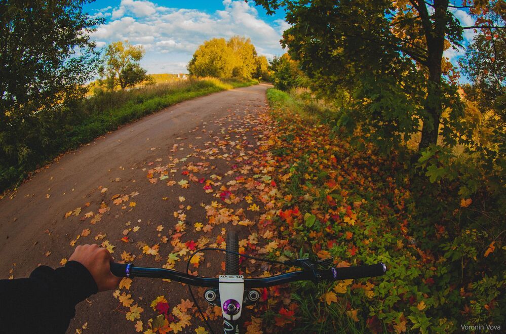 bike