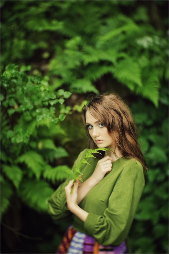 Green fern