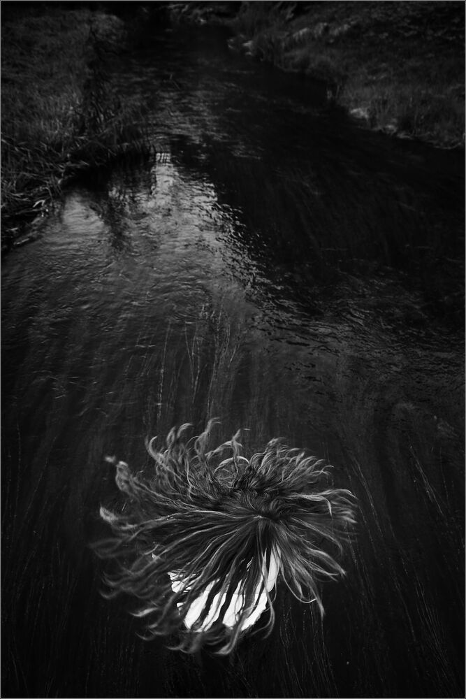 Maelstrom