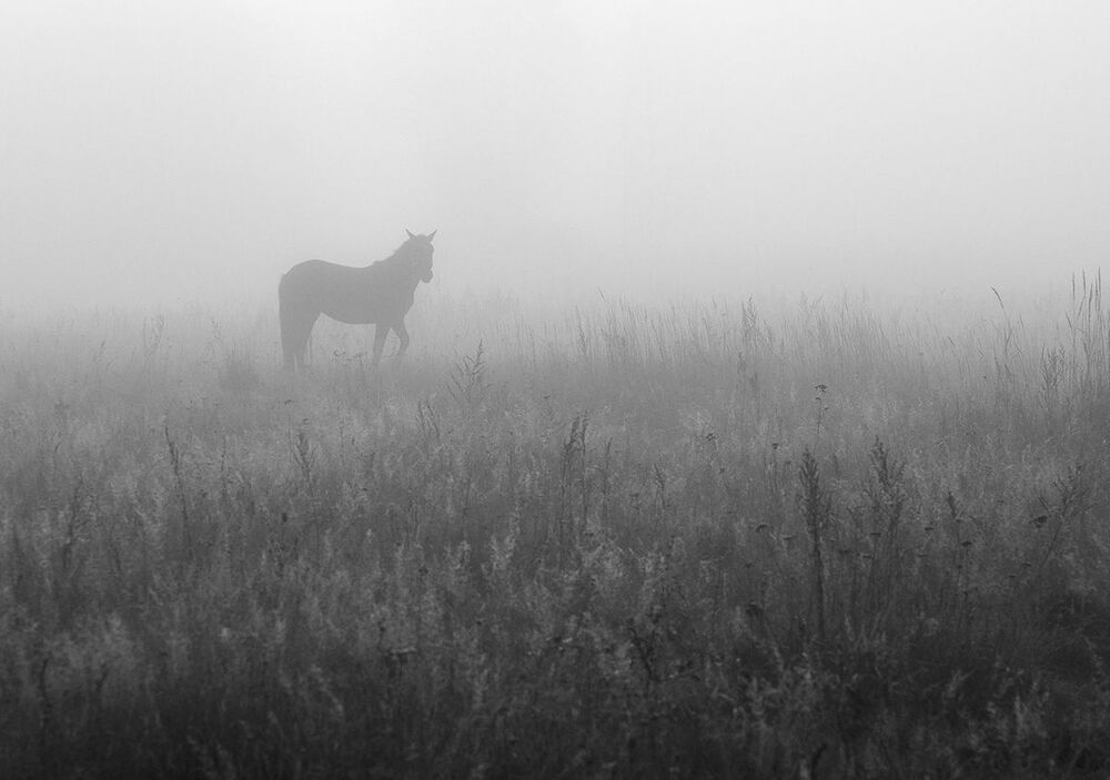 Photo 761310