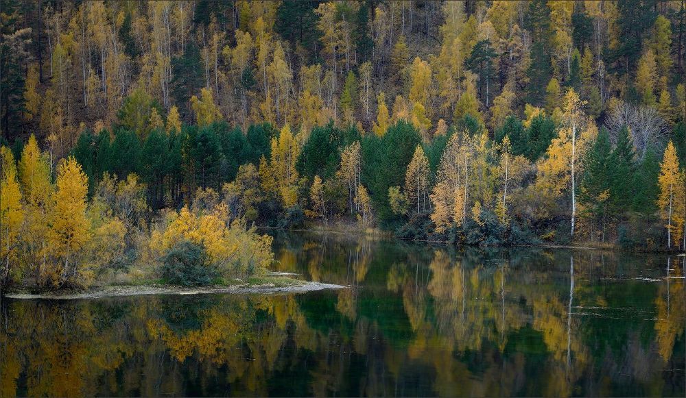 Осенняя тушь