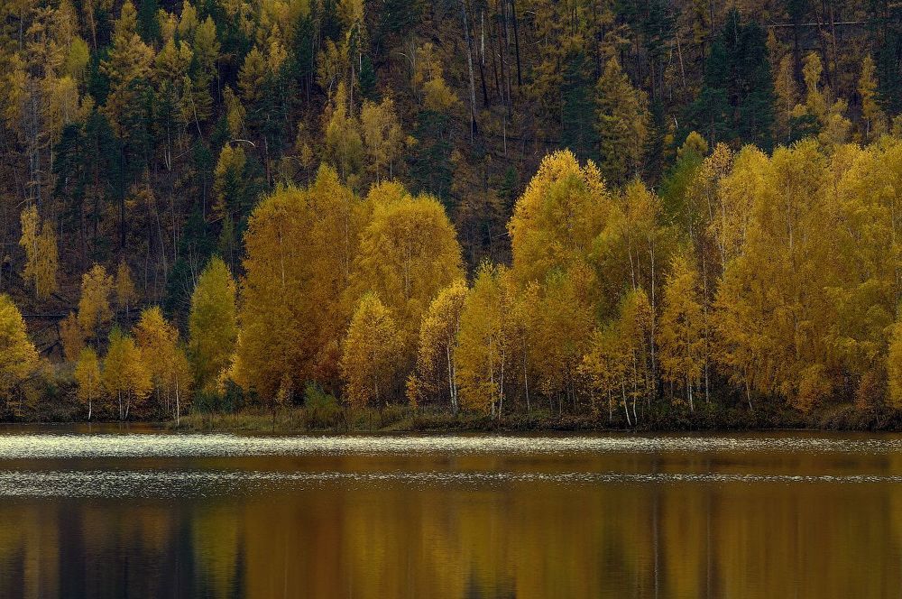 Осенняя тушь