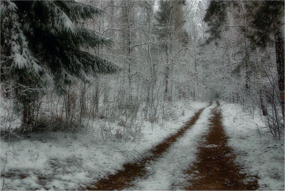 Photo 762358