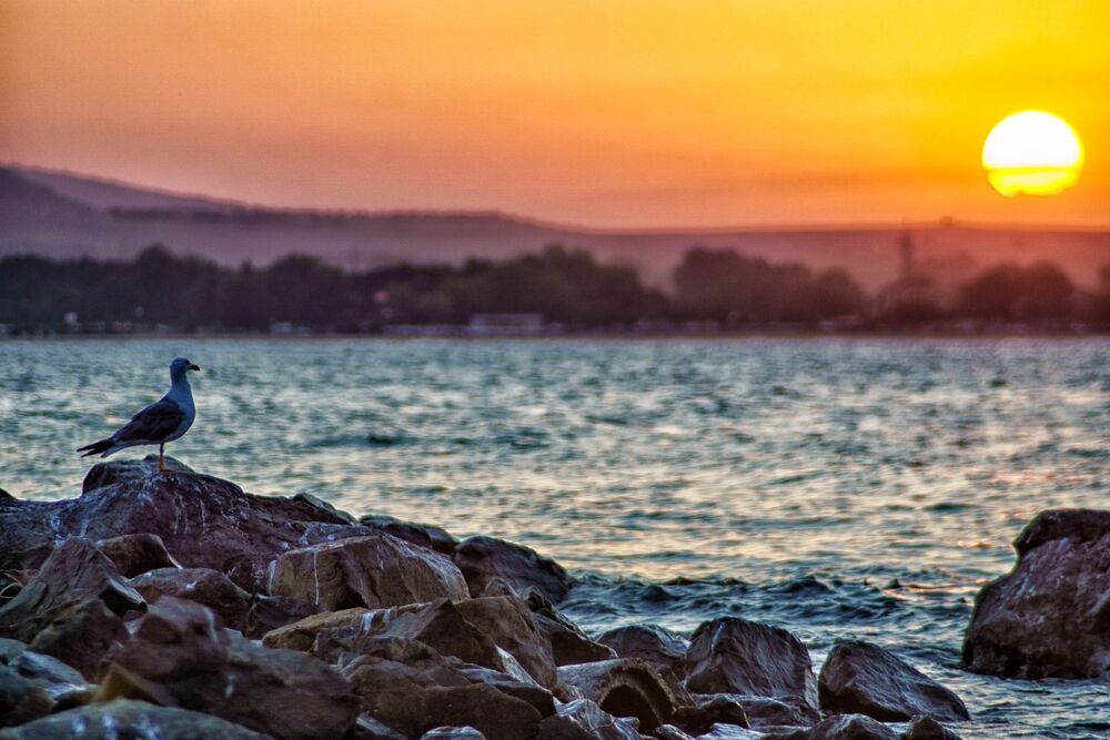Sunset over the city of Sozopol, Bulgaria