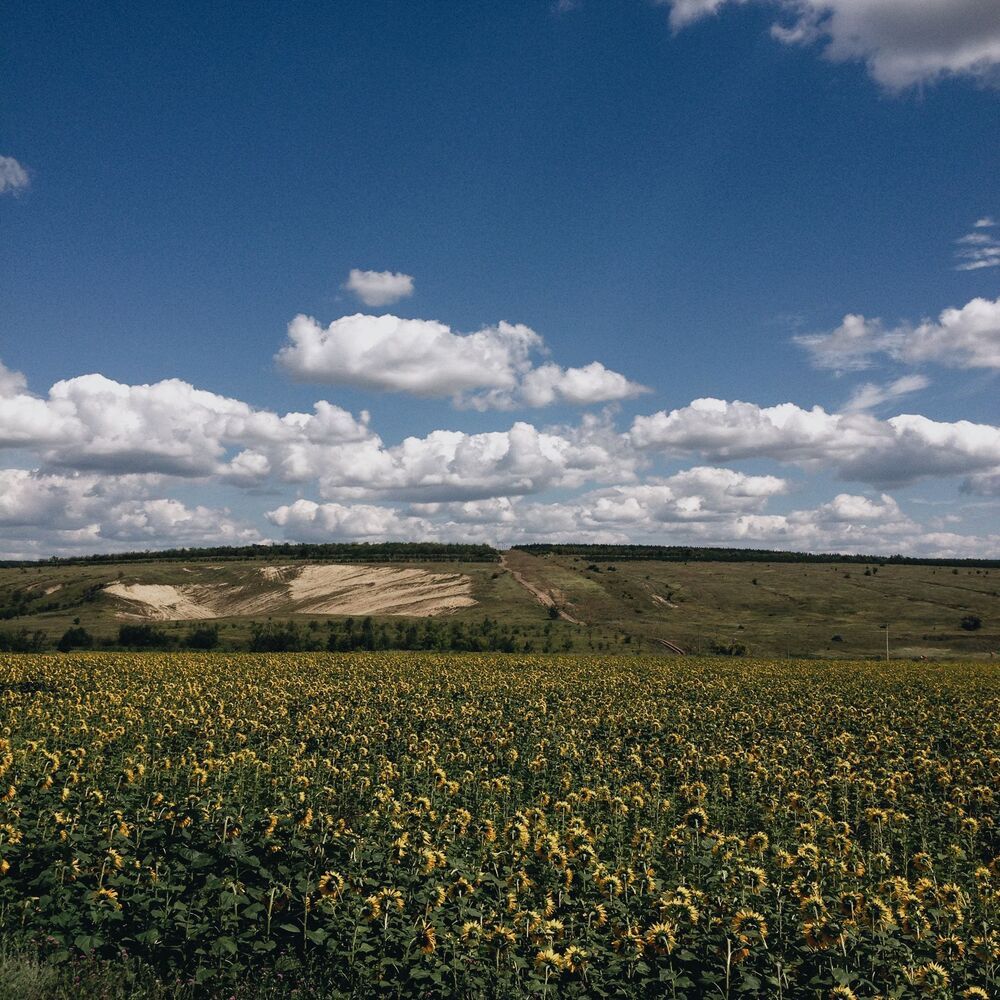 Мобильная фотография ч.37