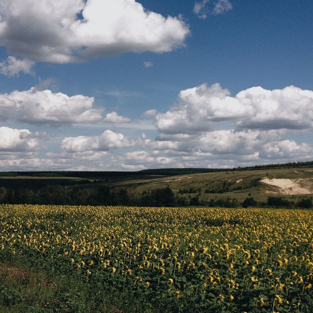Мобильная фотография ч.37