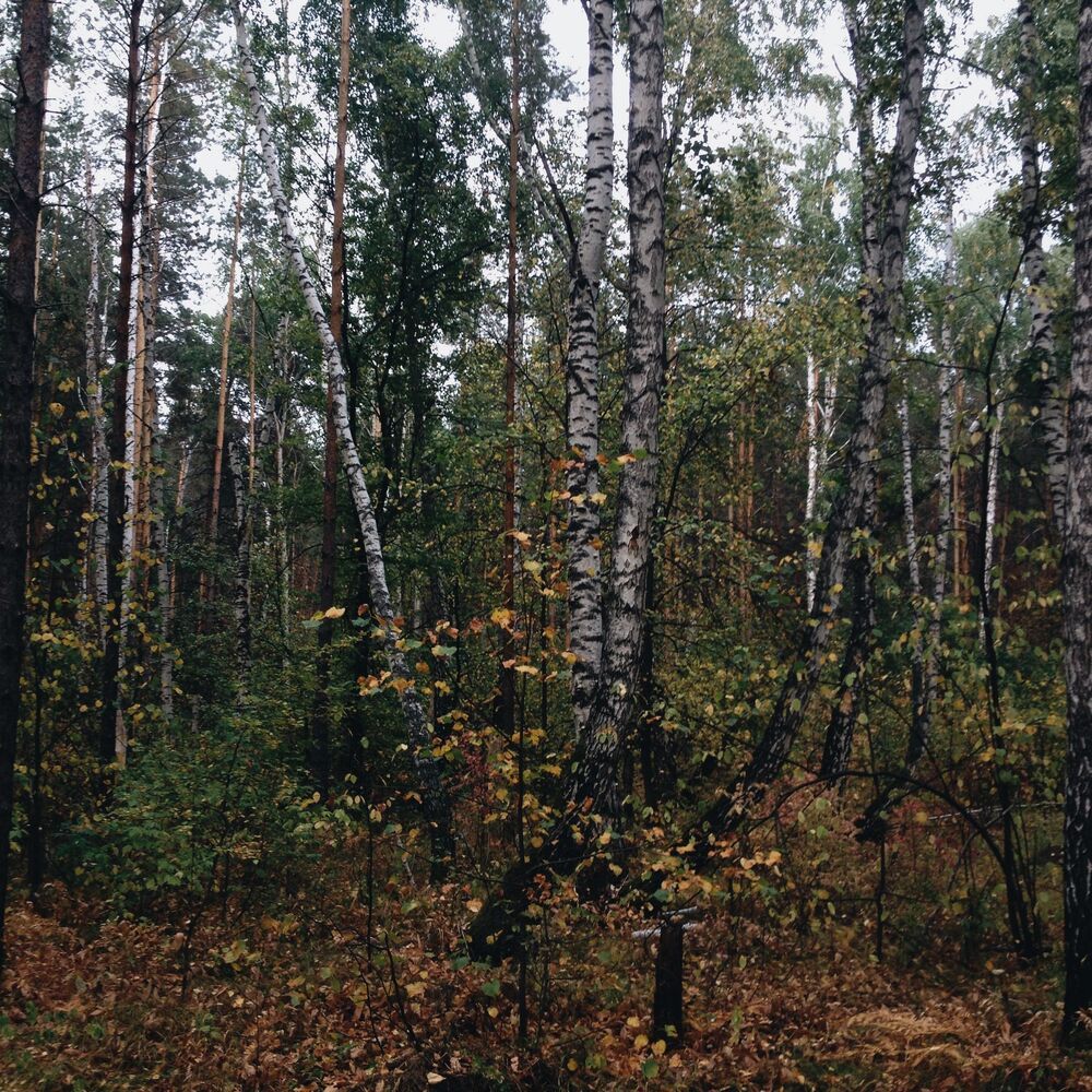 Мобильная фотография ч.41