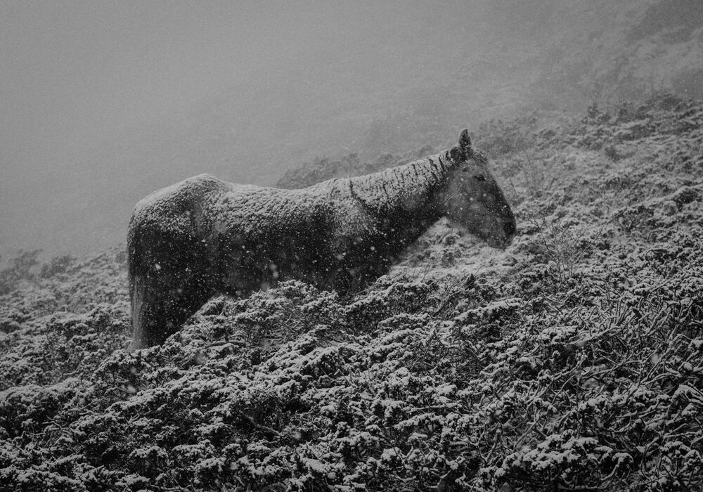 Photo 762857