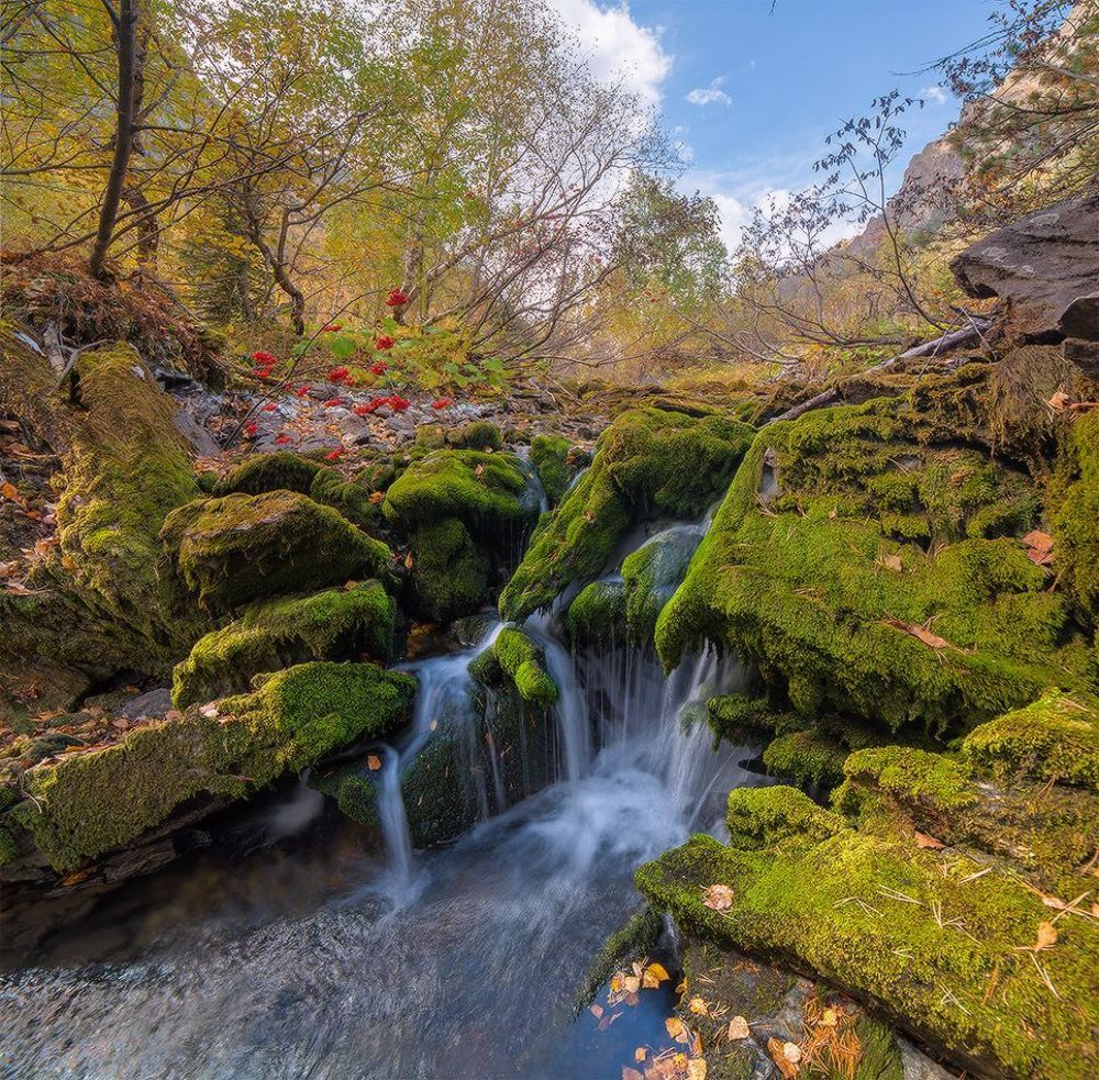 Бадукская осень