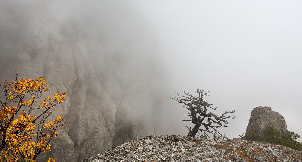 Демерджи, Украина