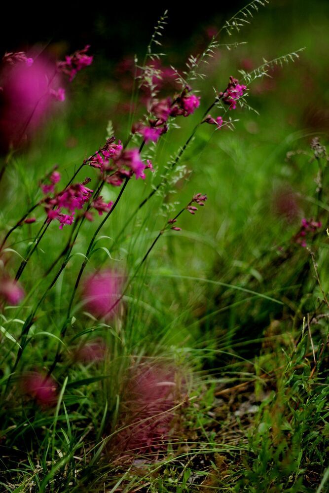 Photo 763617