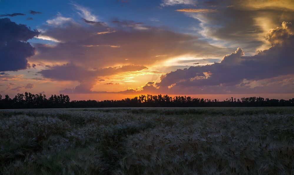 Такие разные  закаты