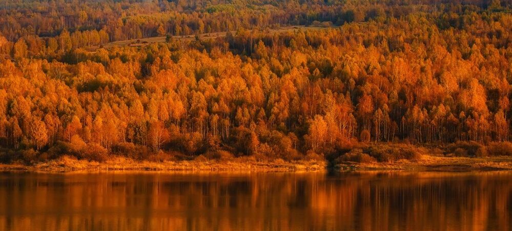 Осенние дали