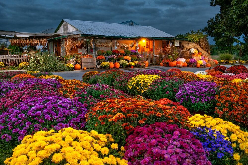 Fall Produce Market